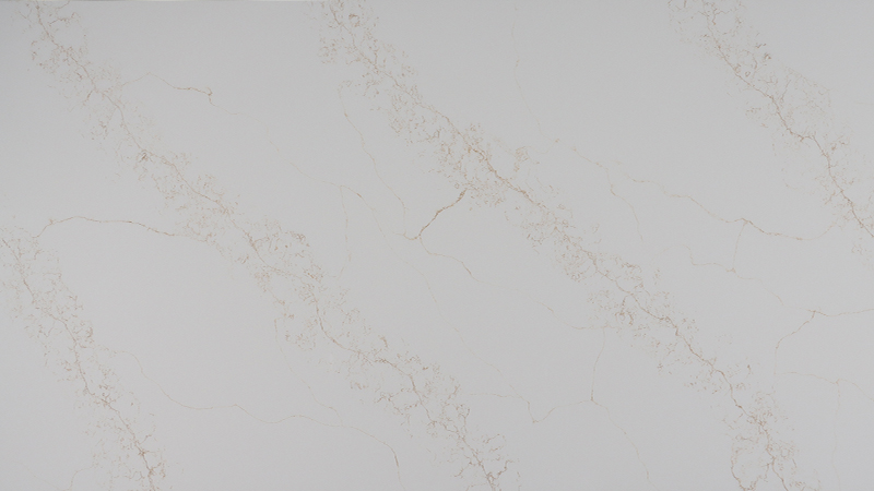 SD6069 GOLD Regular Calacatta Quartz Color