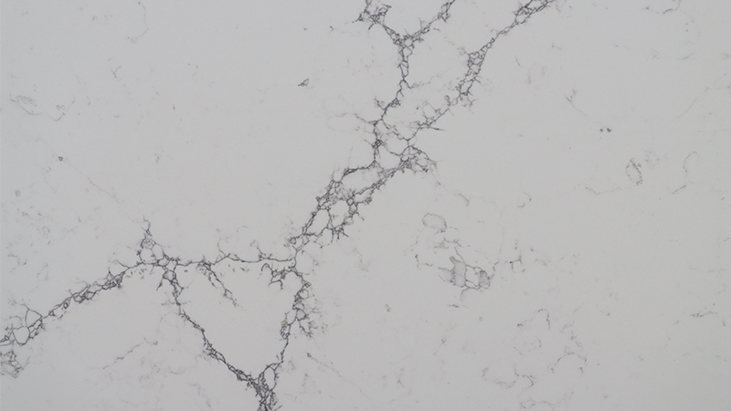 SD6859 Regular Calacatta Quartz Color