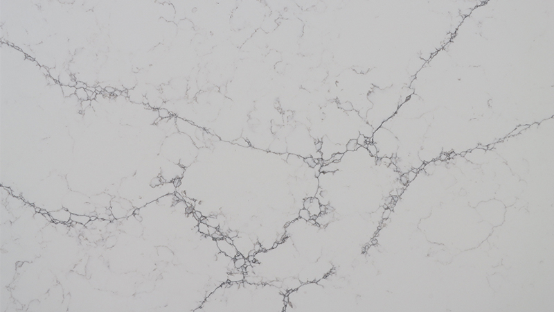 SD6859 Regular Calacatta Quartz Color