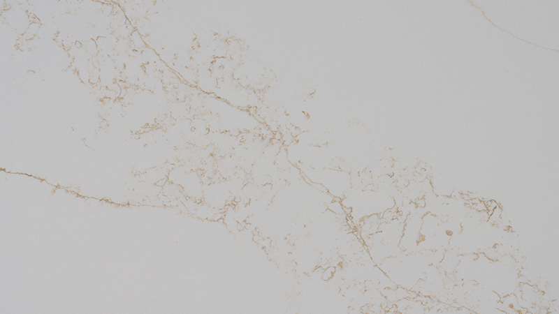 SD6069 GOLD Regular Calacatta Quartz Color